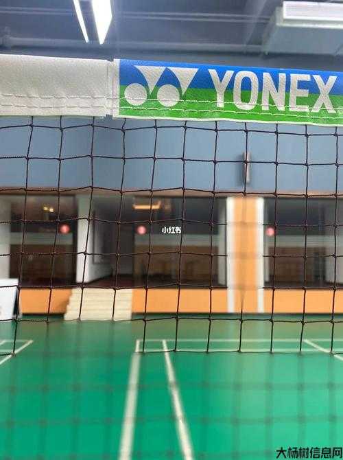 得到金边羽毛游戏攻略 第1张