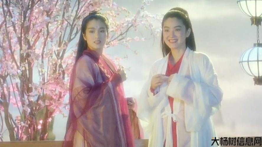 天龙八部：天山童姥与李秋水激烈交锋 第1张