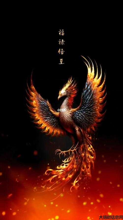 火凤凰当职业传奇,成就不凡的火凤凰 第2张