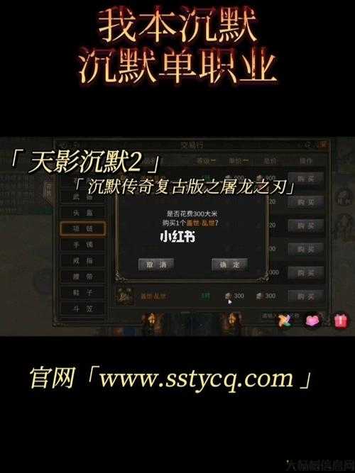 沉默单职业传奇脚本,传奇脚本：追逐沉默单职业 第2张