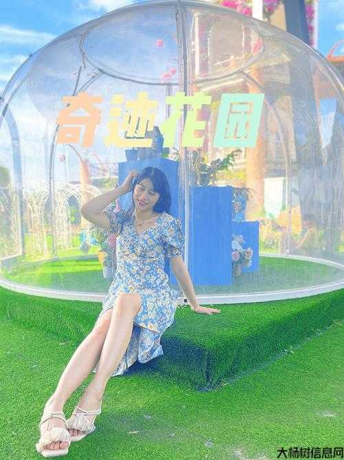 奇迹私服花园攻略：游戏技巧揭秘 第1张