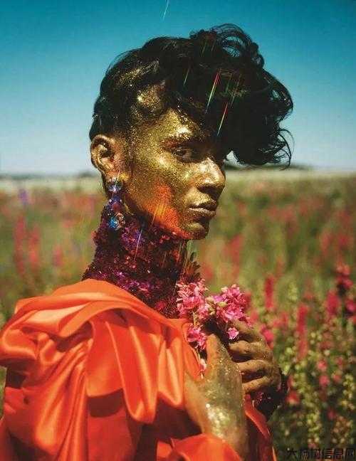 摄影师传奇的职业,聚焦摄影师创意与魅力