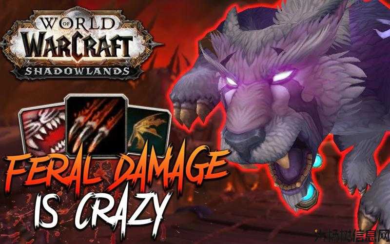 魔兽世界野德是近战职业吗,魔兽世界的野德适合近战战斗吗？! 第2张