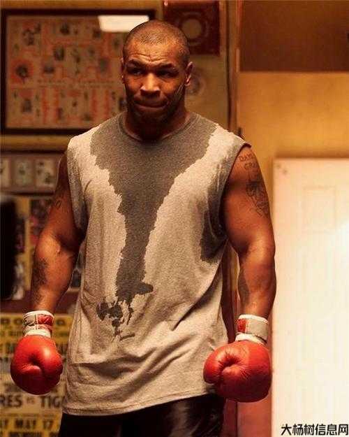 拳王传奇职业生涯,拳击巨星辉煌生涯