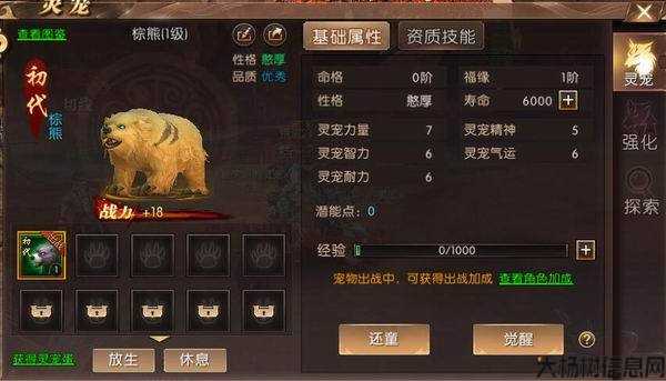 灵宠传奇sf，召唤宠物：灵宠传奇故事 第2张