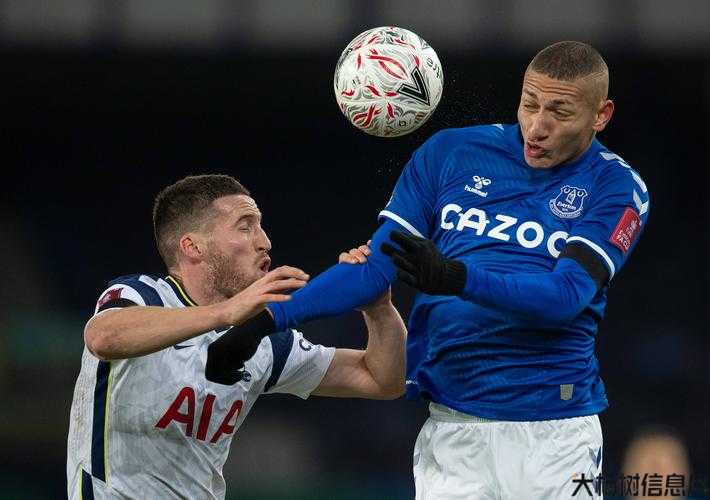 埃弗顿传奇职业球员，埃弗顿足球俱乐部传奇球员的故事