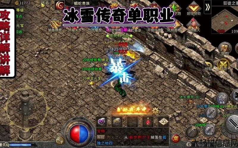 冰王座单职业传奇：冰雪传奇：单职业之旅