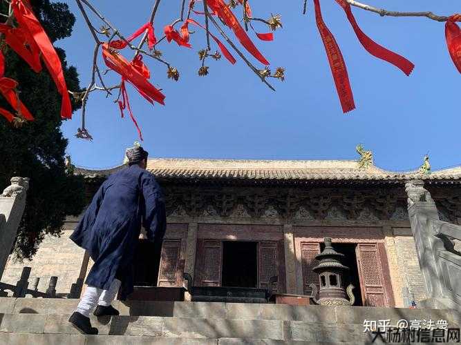 招募月灵最理想的水平，让自己成为道士职业英雄