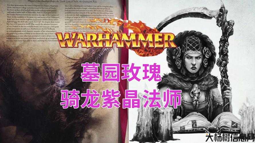 迷失传奇玫瑰,传奇玫瑰战士职业