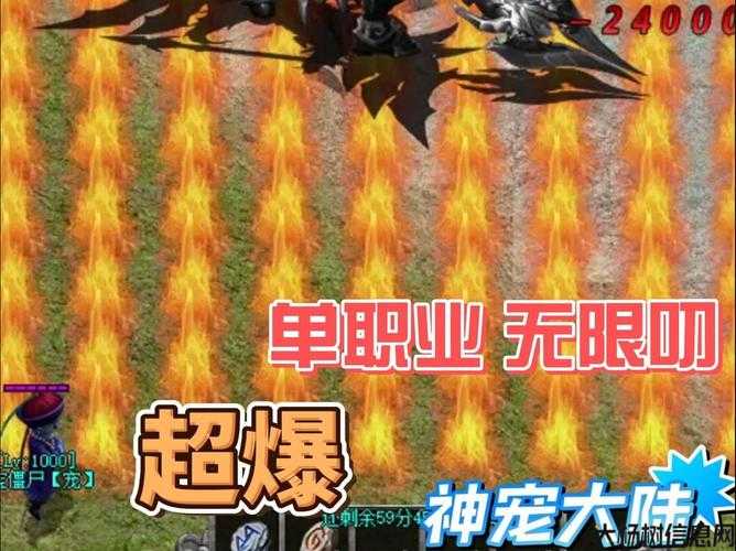 单职业抓宠传奇,抓宠英雄传说