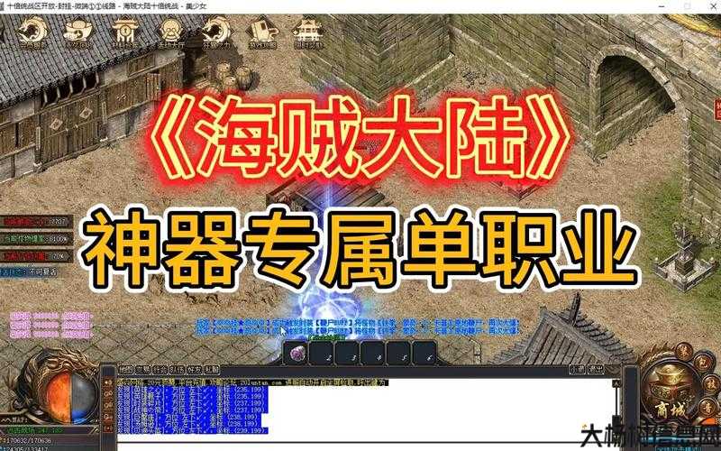 单职业传奇海贼王,海贼王：独当一面的职业玩家