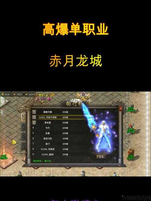 单职业传奇85满级,达到满级挑战,单职业传奇皇者