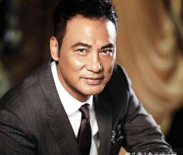 单职业传奇sf任达华-传奇演员任达华) 第2张