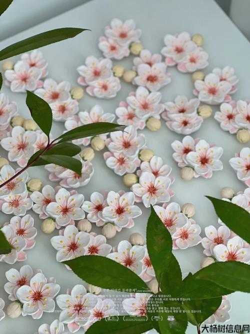 制作桃花的步骤