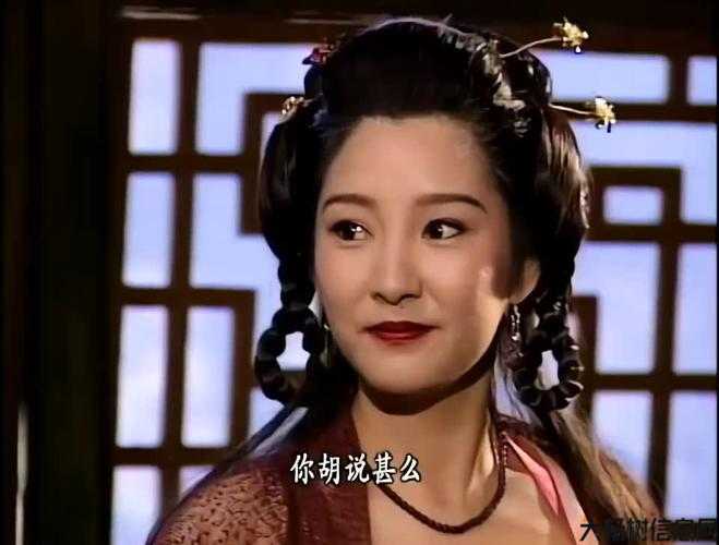 天龙八部的丐帮帮主夫人在哪儿打,夫人在何处？——天龙八部丐帮帮主的下落! 第2张