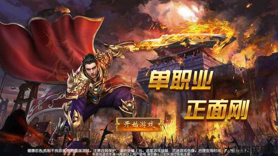 新开传奇私服发布网指南:加勒比传奇sf什么职业好-加勒比传奇sf：最佳职业推荐 第2张