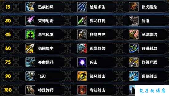 魔兽世界游戏sf深度揭秘:魔兽世界猎人打本攻略,猎人团队攻略分享! 第1张