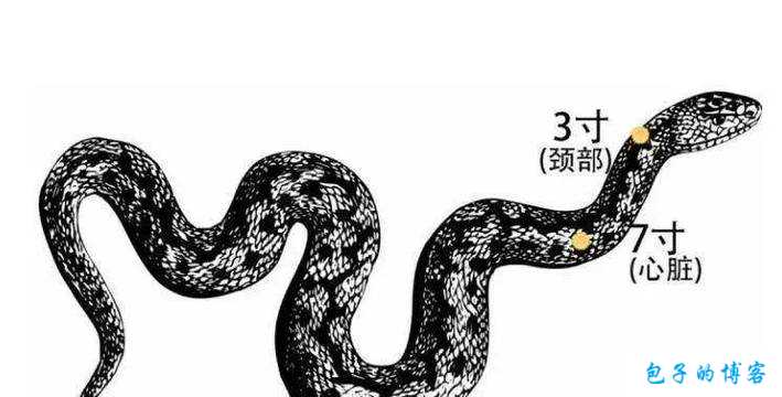 魔域游戏外挂小揭秘:魔域打蛇走位攻略图视频,游戏攻略：魔域中打蛇如何避免被攻击 第2张