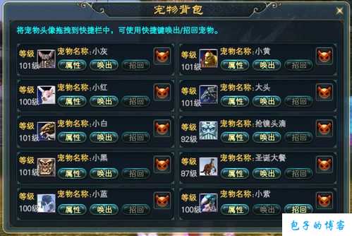 《探秘完美国际网游：寻找宠物驯服技能书的秘密之旅》 第1张