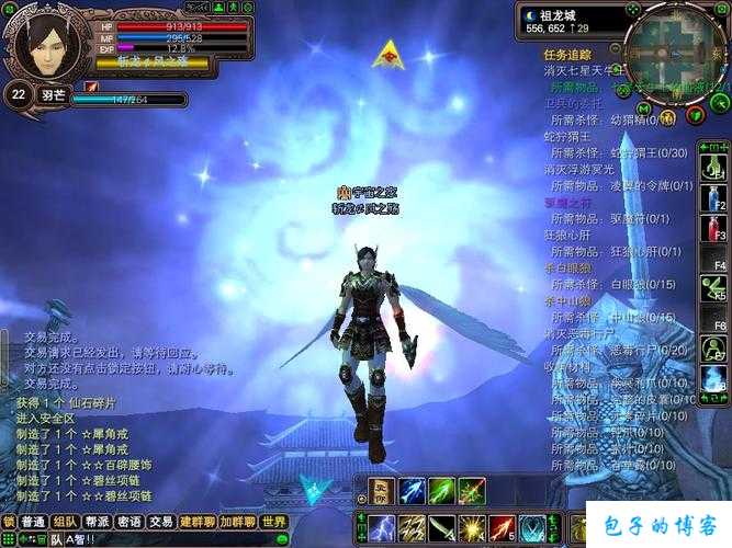 探秘《完美国际》网游SF九军和317：史诗般的虚拟世界 第1张