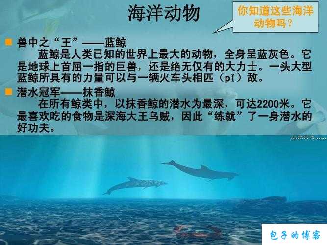 名扬天下专家专栏：走进智慧的海洋 第2张