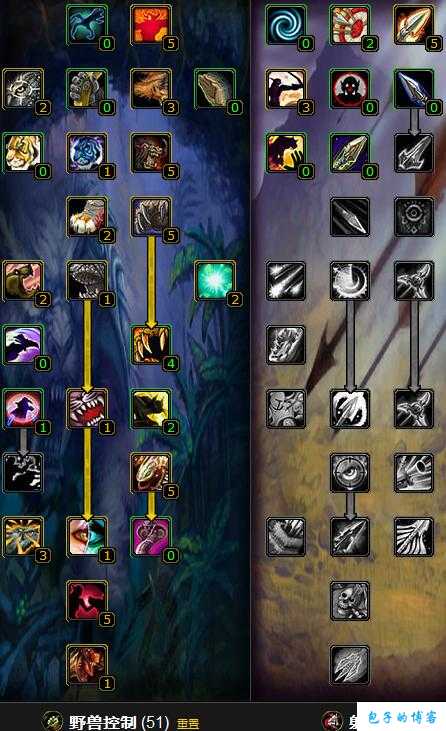 魔兽世界猎人打g攻略,魔兽世界猎人G攻略分享! 第2张