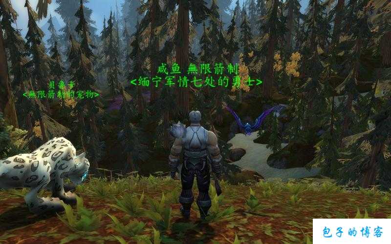 魔兽世界猎人地形大师攻略,提高猎人地形操作能力的实用攻略! 第1张 魔兽世界猎人地形大师攻略,提高猎人地形操作能力的实用攻略! 第1张