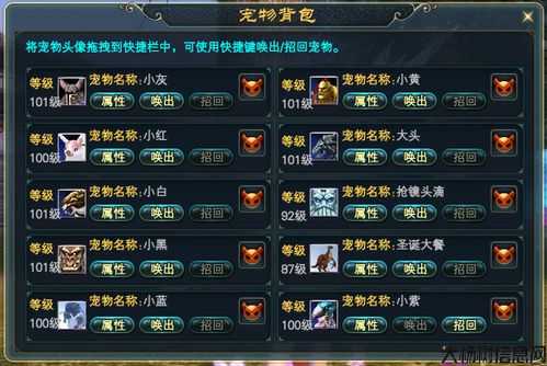 探秘完美国际网游sf宠物进化之秘 第1张 探秘完美国际网游sf宠物进化之秘 第1张