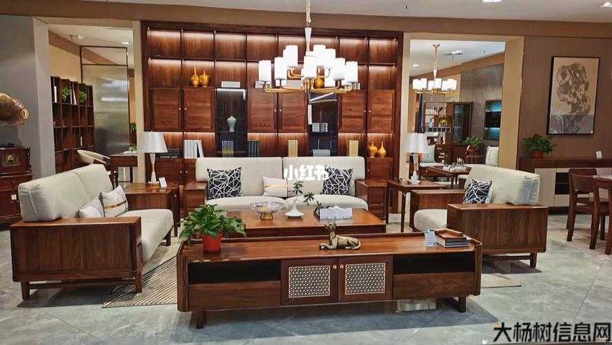 名扬世家家具所有片大全，打造尊贵生活空间 第1张