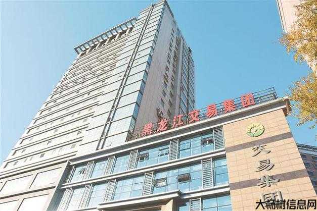 名扬管理有限公司：打造企业管理新标杆 第2张