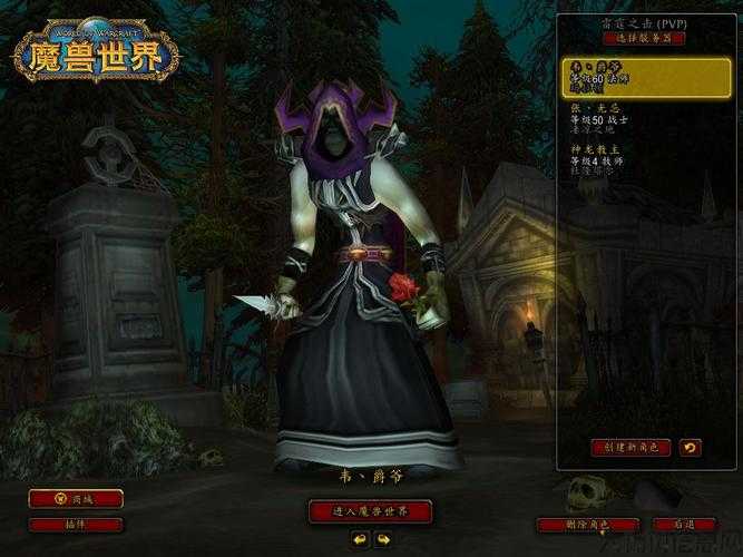 新开魔兽世界游戏私服新手须知:魔兽世界男女亡灵法师攻略,玩转亡灵法师：魔兽世界攻略! 第2张