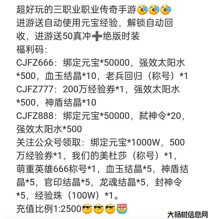 全新传奇私服深度揭秘:传奇问鼎皇城职业攻略,传奇皇城职业攻略大揭秘