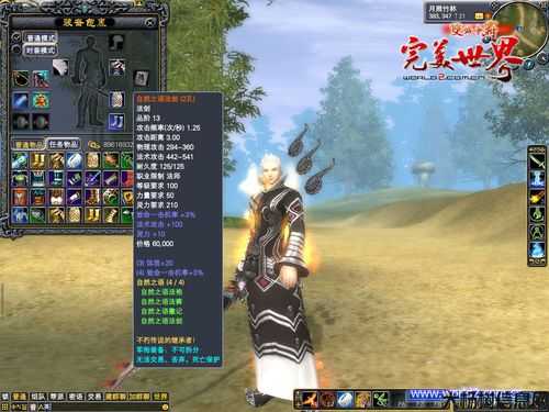 全新完美世界网游私服难以置信经验:完美国际网游SF9军装备好还是17品好 第2张