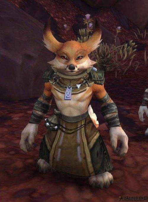 魔兽世界游戏私服技巧:魔兽世界狐狸崽子任务攻略,玩家必看！提高魔兽世界人气的小秘诀! 第1张