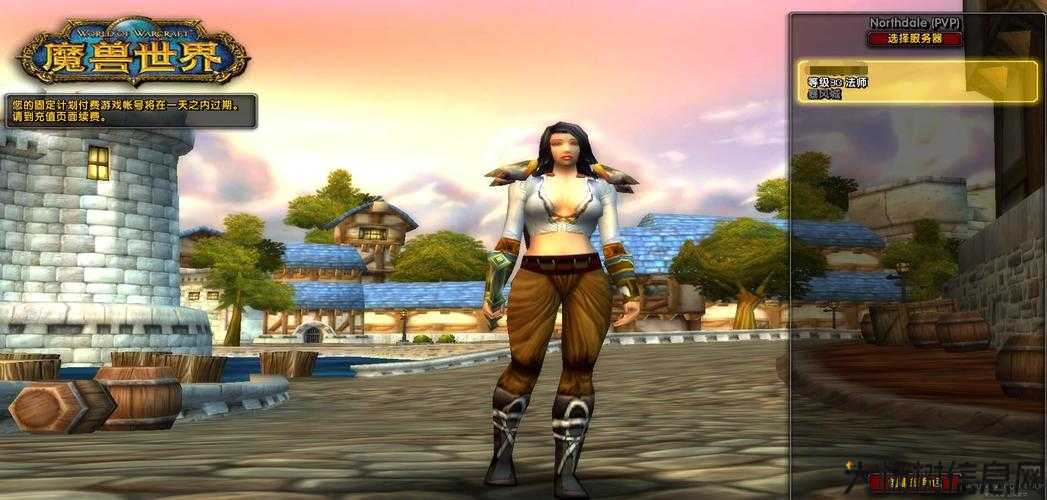 魔兽世界游戏sf技巧:魔兽世界女玩家职业推荐,魔兽世界女玩家必看：最佳职业推荐! 第2张