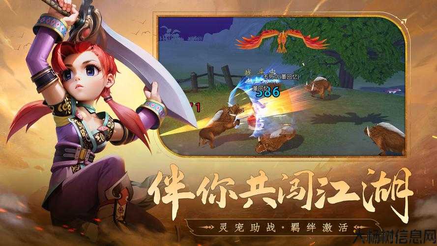 全新热血江湖私服评比:热血江湖私享服务教程视频在线观看下载 第1张