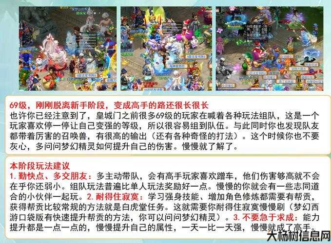 梦幻私服深度揭秘:梦幻西游：新手玩家的开服攻略指南 第1张