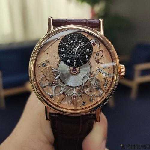 热血全新传世端游私服,新手须知:探索传世手表1603：历史与现代的完美融合 第2张