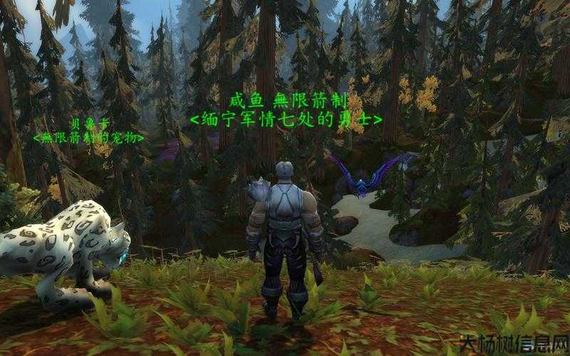 魔兽世界游戏,私服评测:魔兽世界猎人邪能渡鸦攻略,玩转猎人攻略：邪能渡鸦！! 第1张