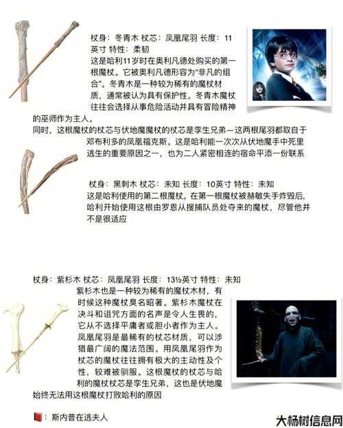 魔兽世界盗贼法杖攻略图,盗贼必备法杖攻略详解! 第2张