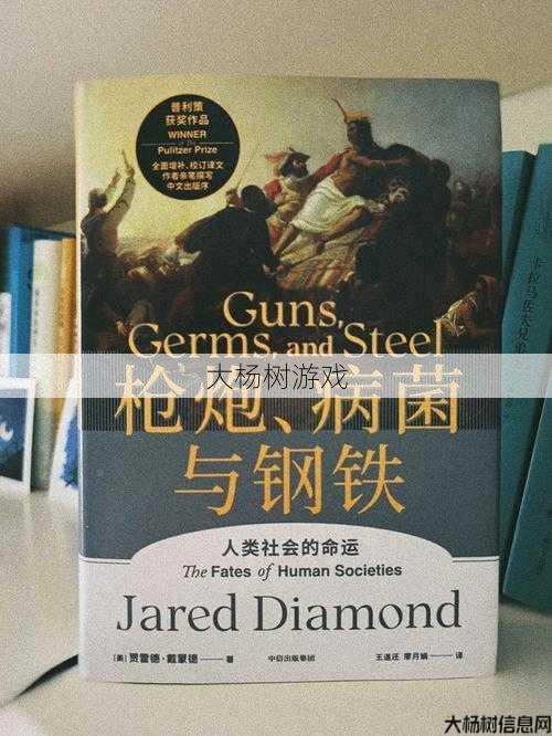 《探讨完美国际网游SF九军与317版本的优劣》 第2张 《探讨完美国际网游SF九军与317版本的优劣》 第2张