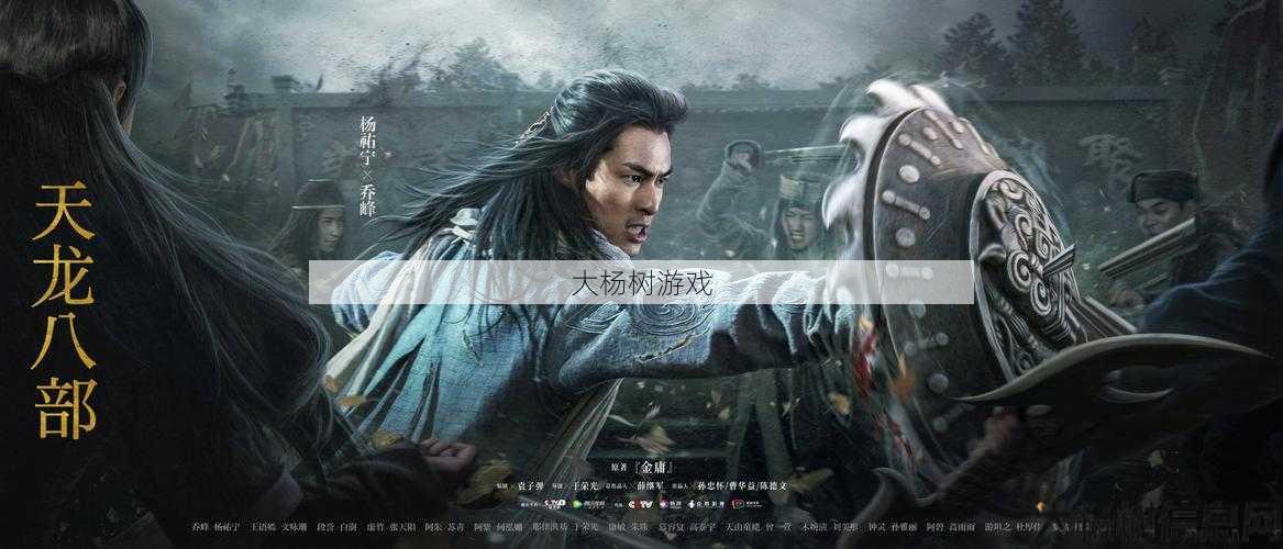 天龙八部比武大会职业 第2张