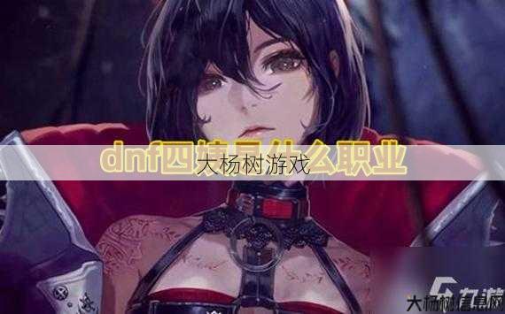 dnf四姨什么职业(探秘DNF中的四姨职业岗位) 第2张 dnf四姨什么职业(探秘DNF中的四姨职业岗位) 第2张