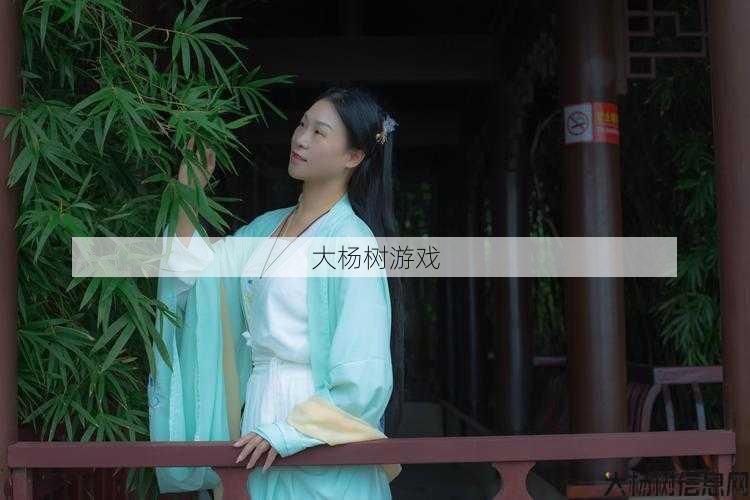 传统之韵 第1张