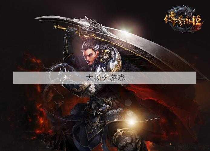 传奇里的新职业,圣武士：传奇中的新职业