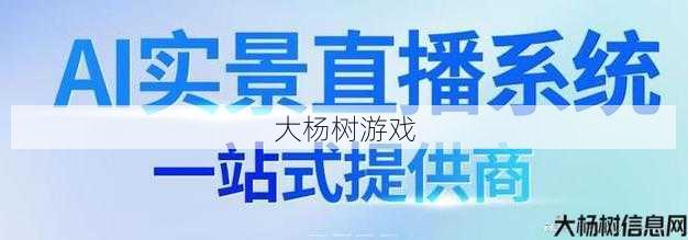 大橙子主播制造奇迹：游戏直播惊喜连连 第2张