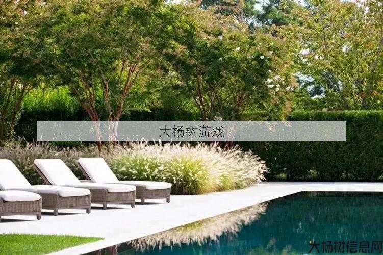 羽芒技巧大揭秘 第1张