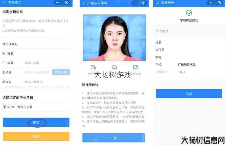 2024年完美毕业：蓝拳护石的全面指南 第2张
