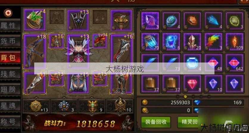 最新奇迹sf发布网全面解析:提高战斗力，选择合适奇迹敏战装备 第2张