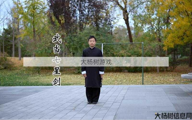 最新传世私服发布网推荐:用一分钟掌握武当七星剑！ 第2张